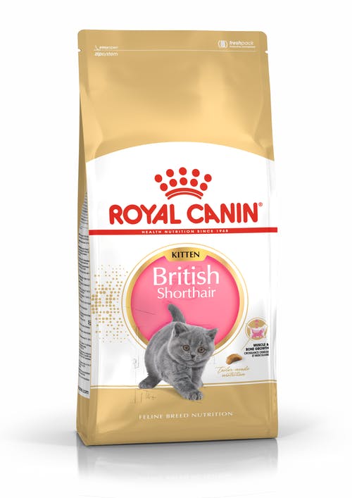 Питание для британских кошек