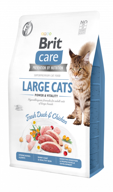 Питание для крупных пород кошек
